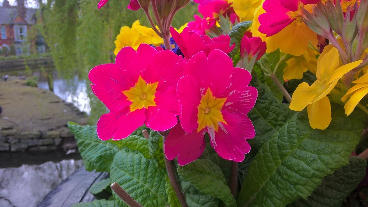 Lumia 640 rear camera test