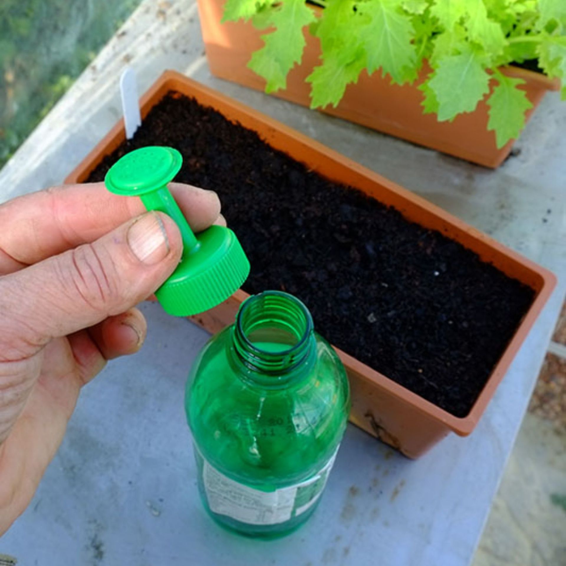 Bottle Top Waterer