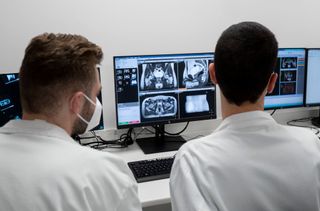 Two researchers, viewed from the back look at a a computer image of MRIs on a screen.