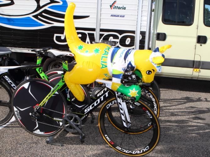 Orica - AIS mascot, Skippy, warms up
