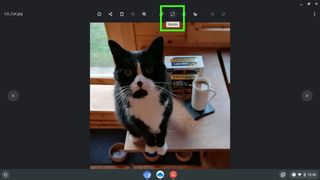 Screenshot showing how to resize an image in Chrome - select Rescale icon