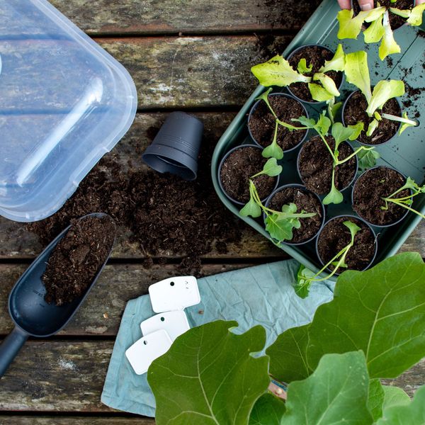 All Discount Code Brands Ideal Home