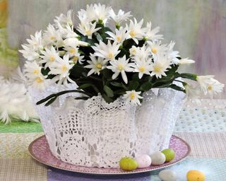 White Easter cactus plant decorated for the Easter holidays