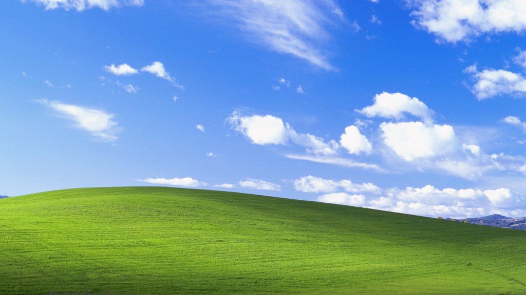 grass with sky and clouds