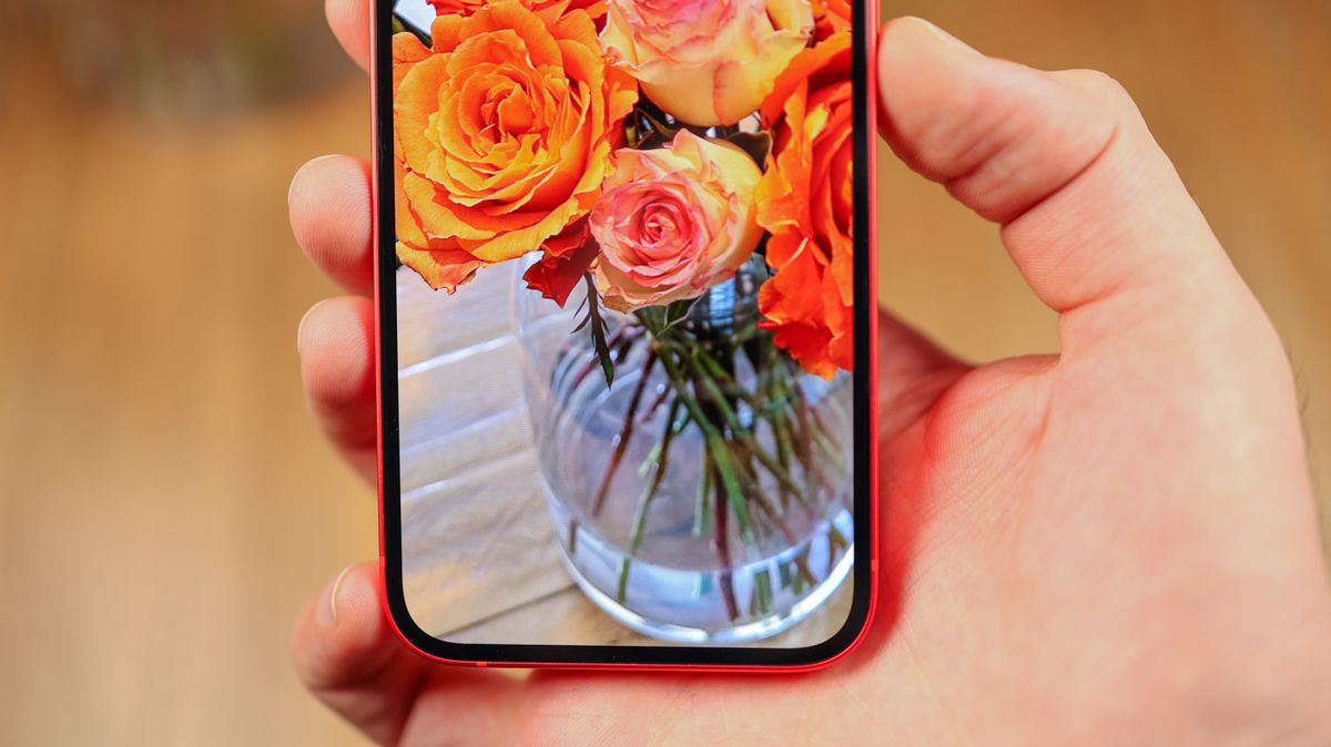 A photo of the iPhone 14 in red