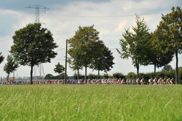 The peloton all strung out