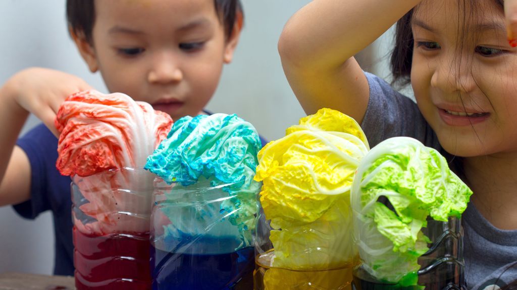 A simple experiment with cabbage leaves and food coloring demonstrates how plants absorb water and nutrients through their stems and into their leaves.