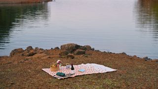 Picnic mat on ground next to lake