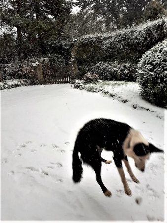 Wow-whats-this-white-stuff-e1520432433158.jpg