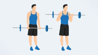 an illo of a man doing a bicep barbell curl