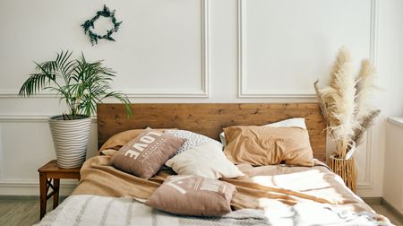 Cozy and beautiful interior in the bedroom in beige tones with a large indoor green flower and a bed