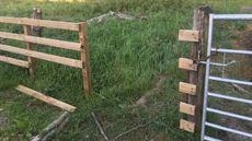 Ian-Stark-fence.jpg