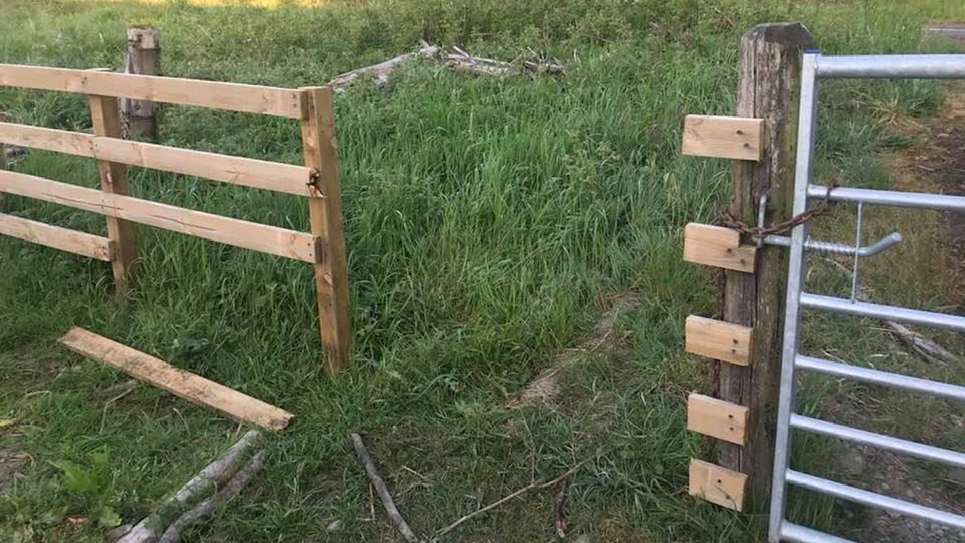 Ian-Stark-fence.jpg