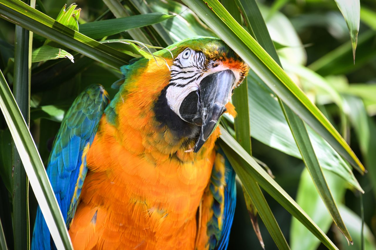 Nikon D850 sample image