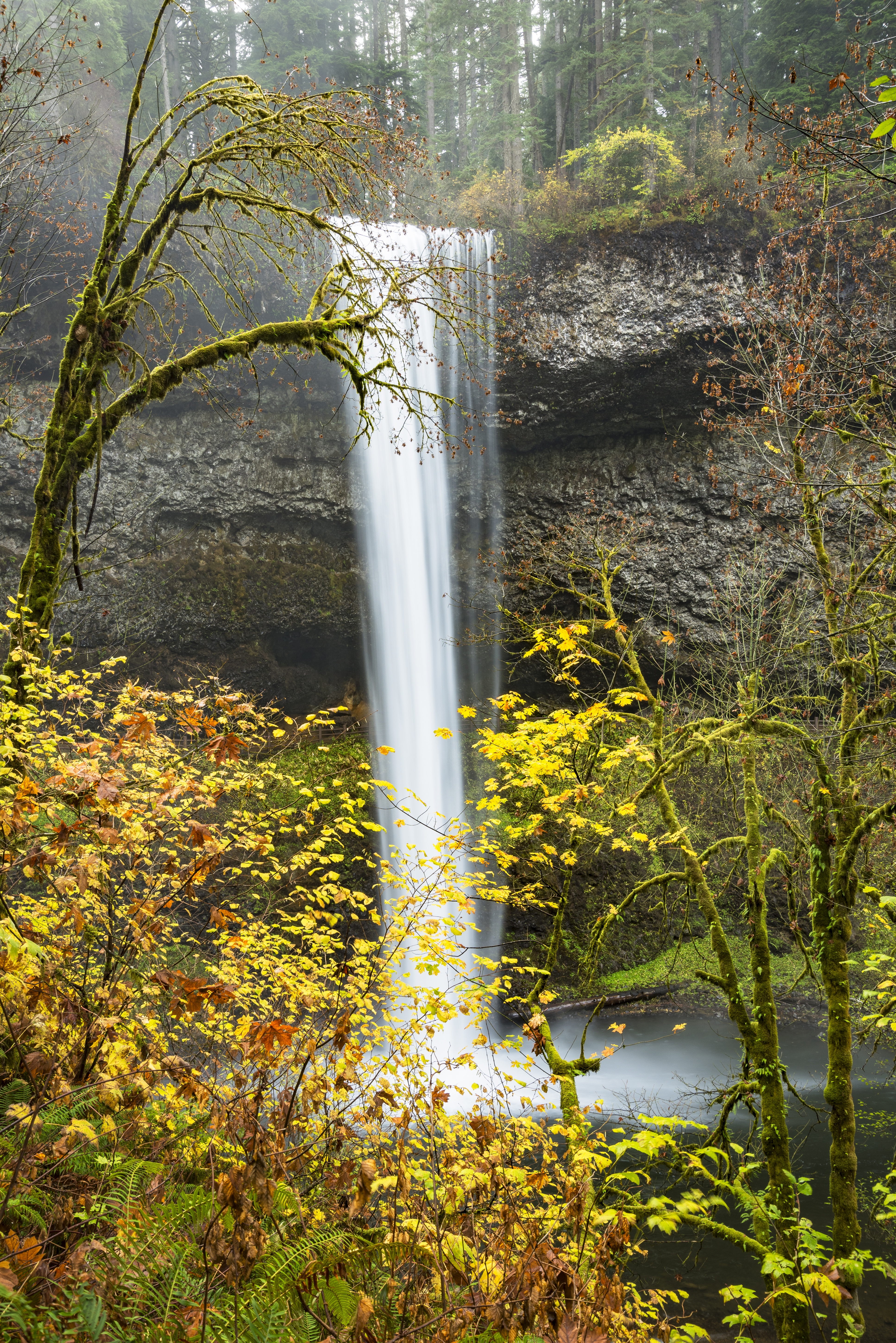 South Falls, Silver Falls State Park, Oregon