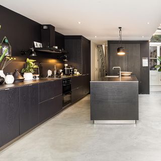black modular kitchen with potted plant and hanging light