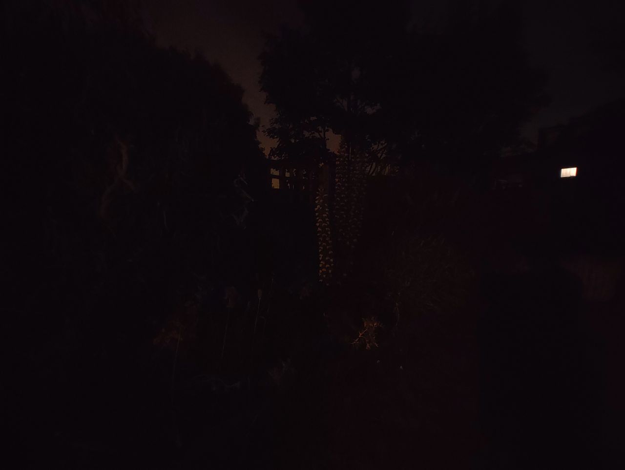 Nothing Phone 1 camera sample UW extreme low light
