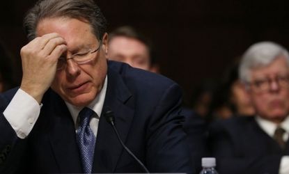 Wayne LaPierre pauses during a Senate Judiciary Committee hearing on gun violence on Jan. 30.