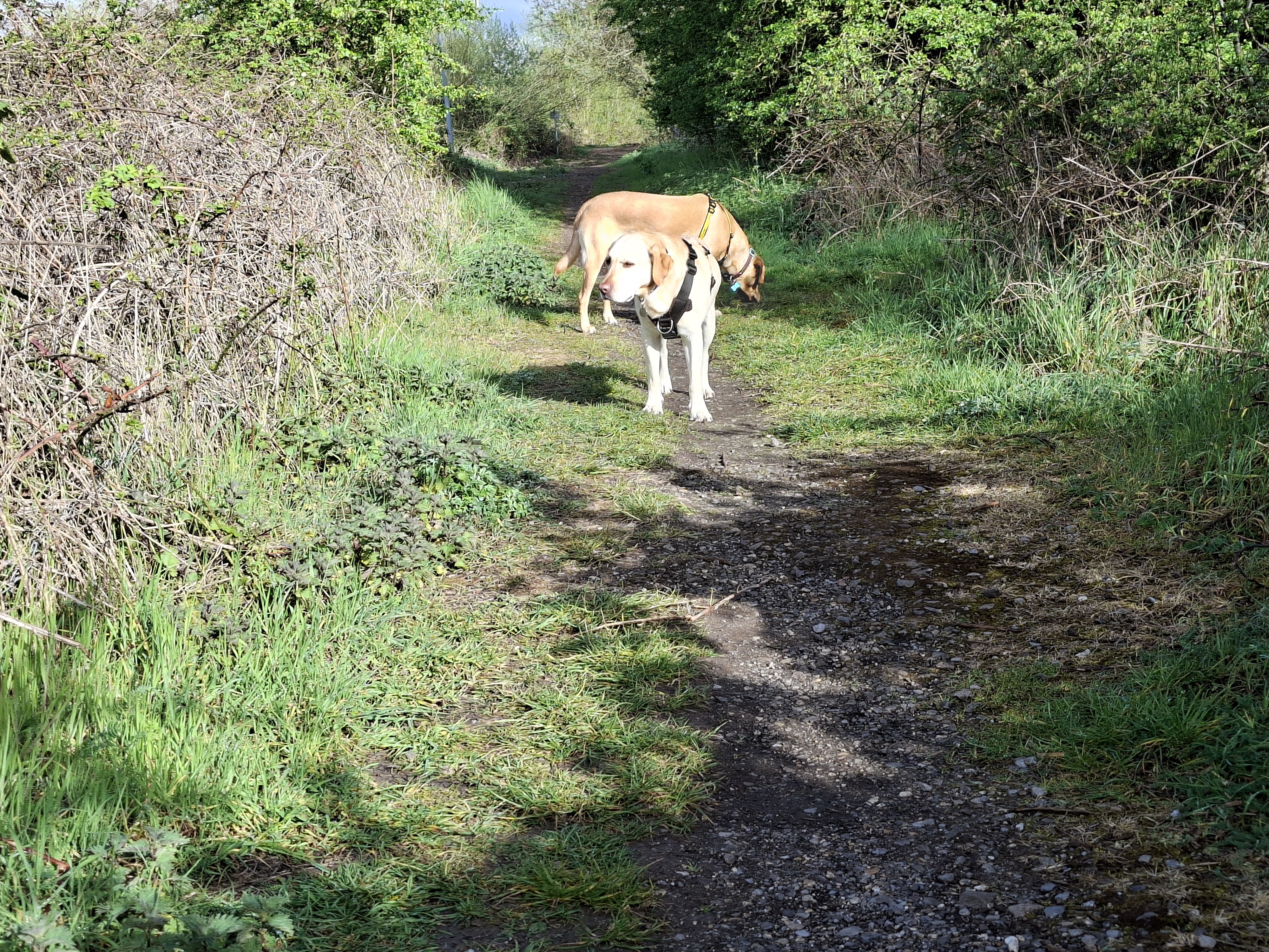 nothing phone 4a pro bs samsung galaxy a57 review shots