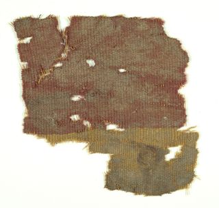 Dye extracted from murex snails was used to make expensive purplish dyes in ancient times.