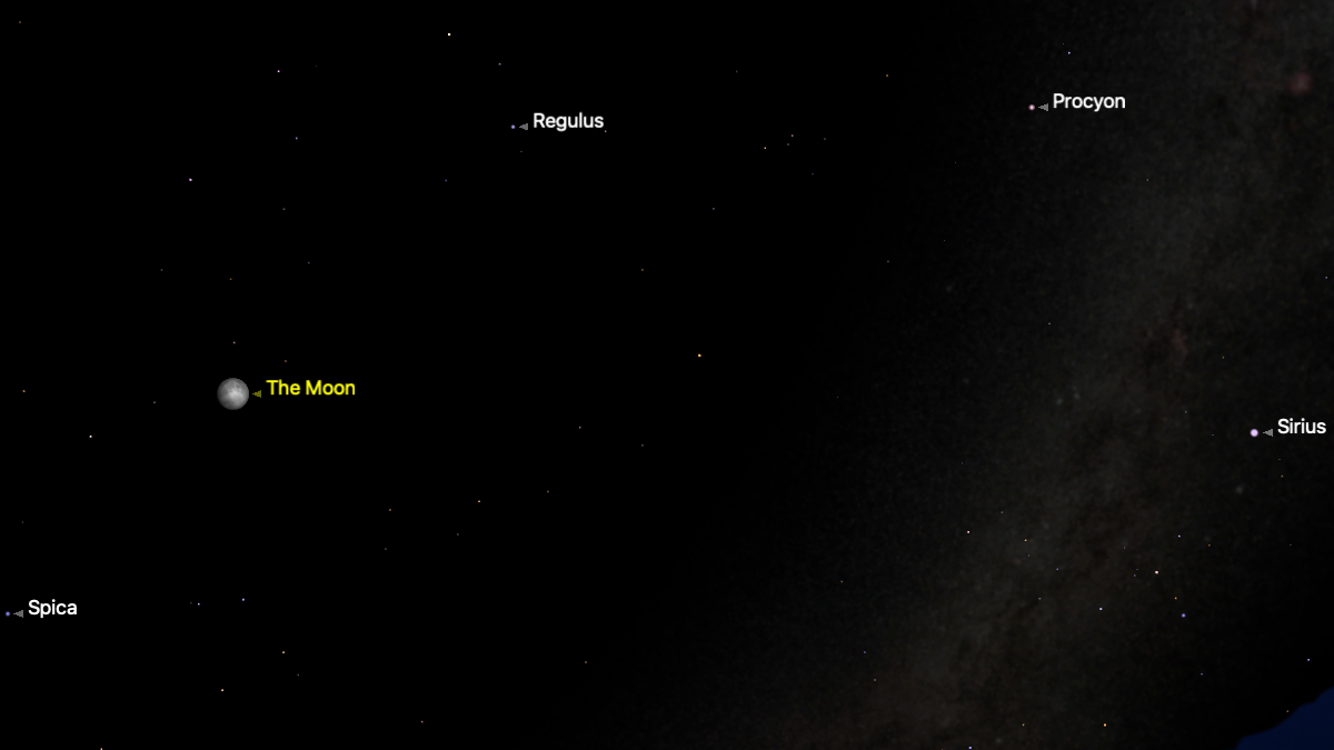 A simulation of the night sky for March 31 showing the moon surrounded by the brightest spring stars in a black night sky. Spica is visible to the lower left of the lunar disk with Regulus Procyon and Sirius to the right.