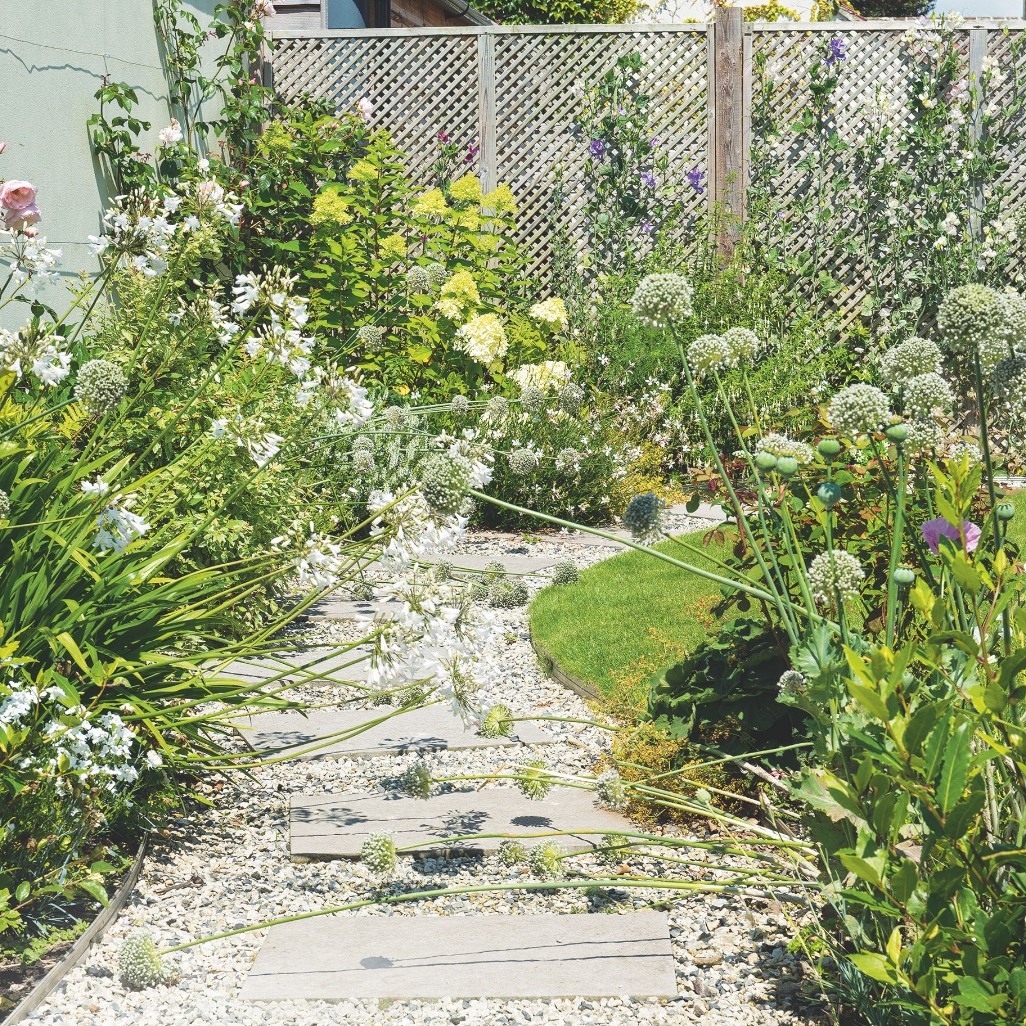 summer garden with path