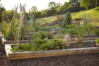 Tudor Farmhouse Hotel kitchen garden