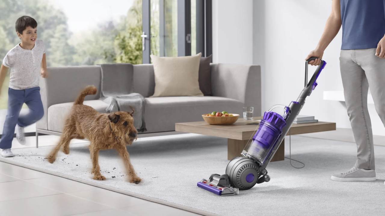 Dyson Ball Animal Origin