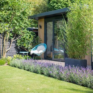 large garden with neat lawn and row of lavender at the edge bordering path and garden room and blue sun chair