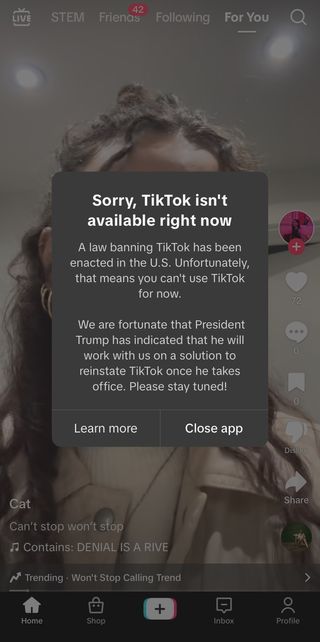 A pop-up on the TikTok app when accessed in the US that reads: "Sorry, TikTok isn't available right now. A law banning TikTok has been enacted in the US. Unfortunately, that means you can't use TikTok for now. We are fortunate that President Trump has indicated he will work with us on a solution to reinstate TikTok once he takes office. Please stay tuned!"