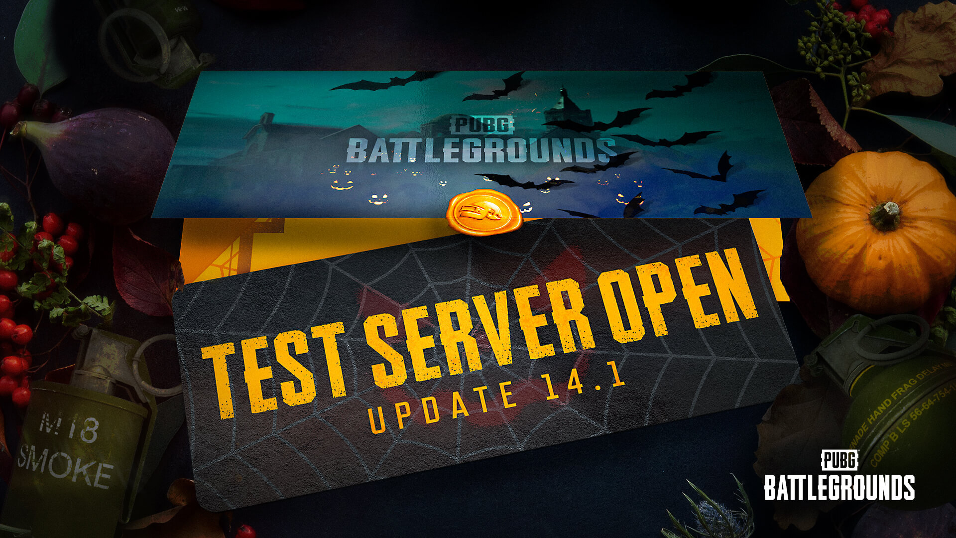 pubg test server what is it