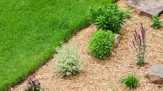 mulched flowerbed and lawn edge