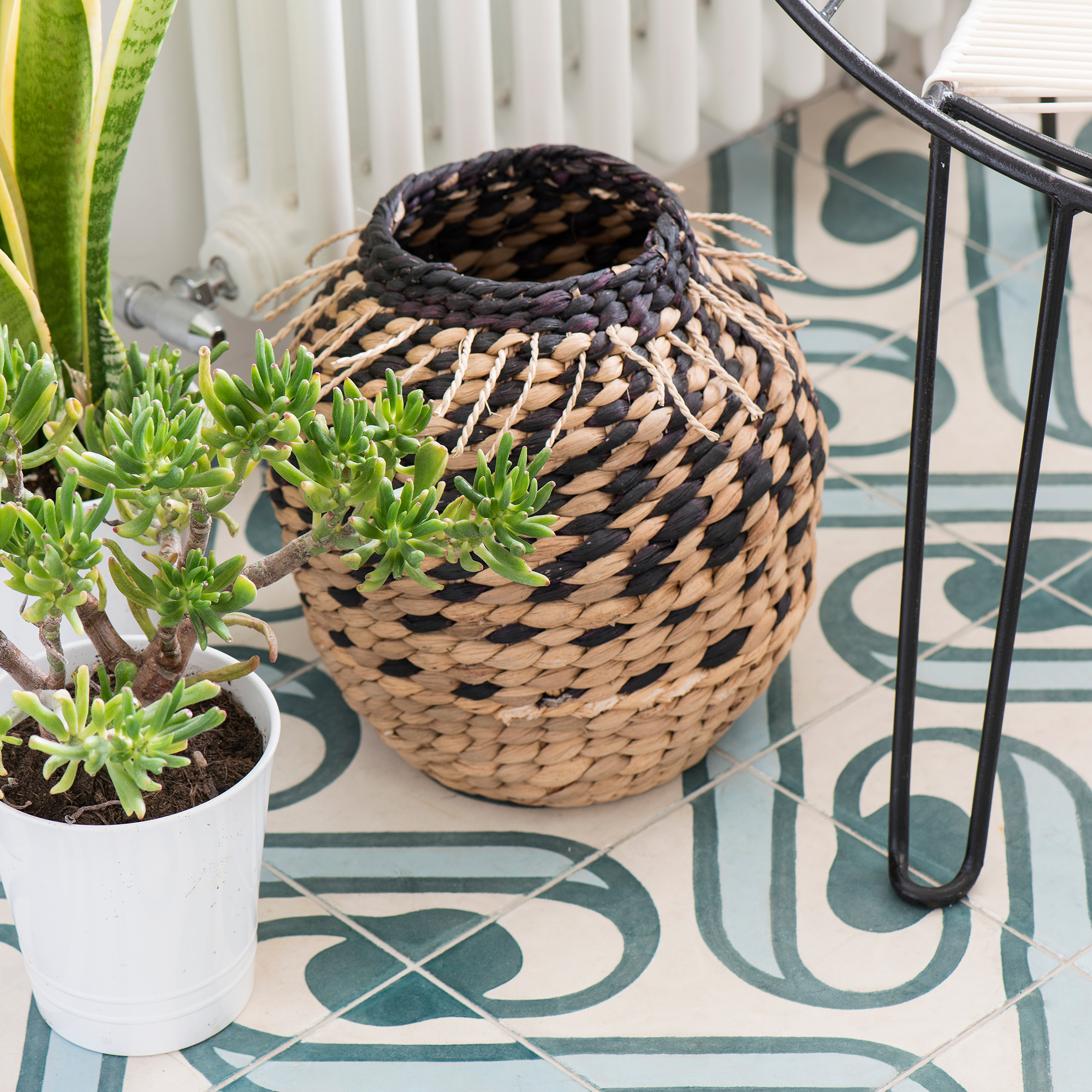 Houseplants and a storage basket on the blue patterned tiled floor of a white bathroom