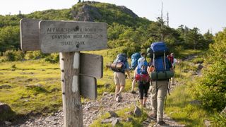 Group of people backpacking in Grayson Highlands State Park, Virginia