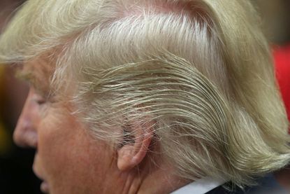Donald Trump's hair.