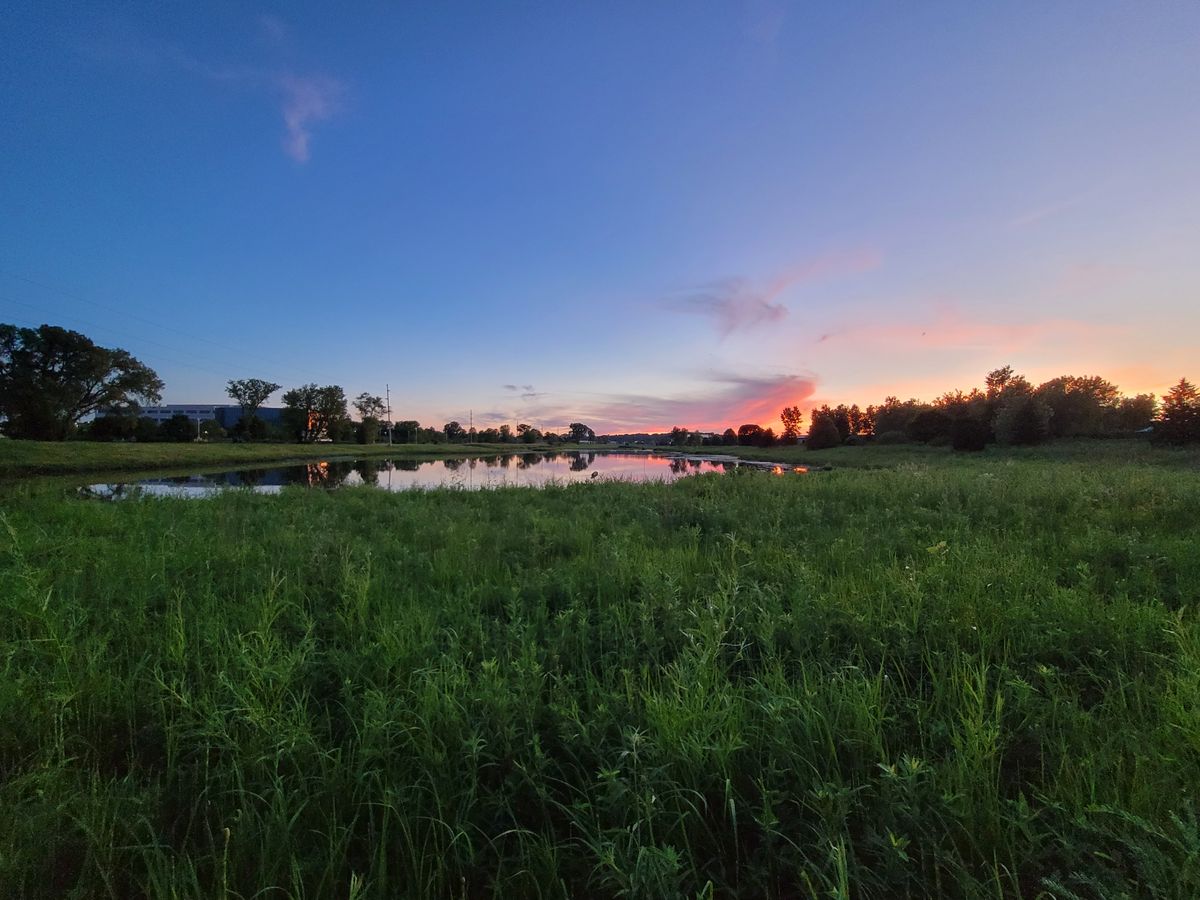 Samsung Galaxy Z Fold 2 camera samples
