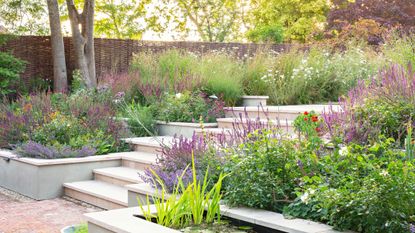 Naturalistic planting design used again contemporary hard landscaping in a design by The Green Room Garden Design