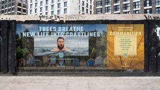 Trees for Cities campaigns