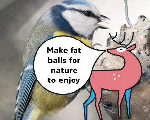 12 Days of Kindness - Christmas - Wildlife Nature Balls