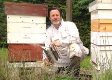 Learn beekeeping at the country life fair