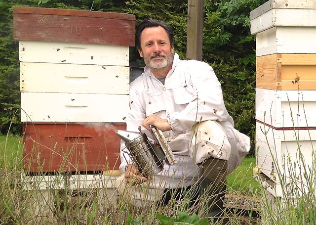 Learn beekeeping at the country life fair