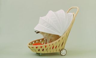 Pram-like playhouse for medium-sized dog. The base is constructed from woven plywood with small wheels on its base. There is a hood-like cover in white, and a plywood handle to push the playhouse.