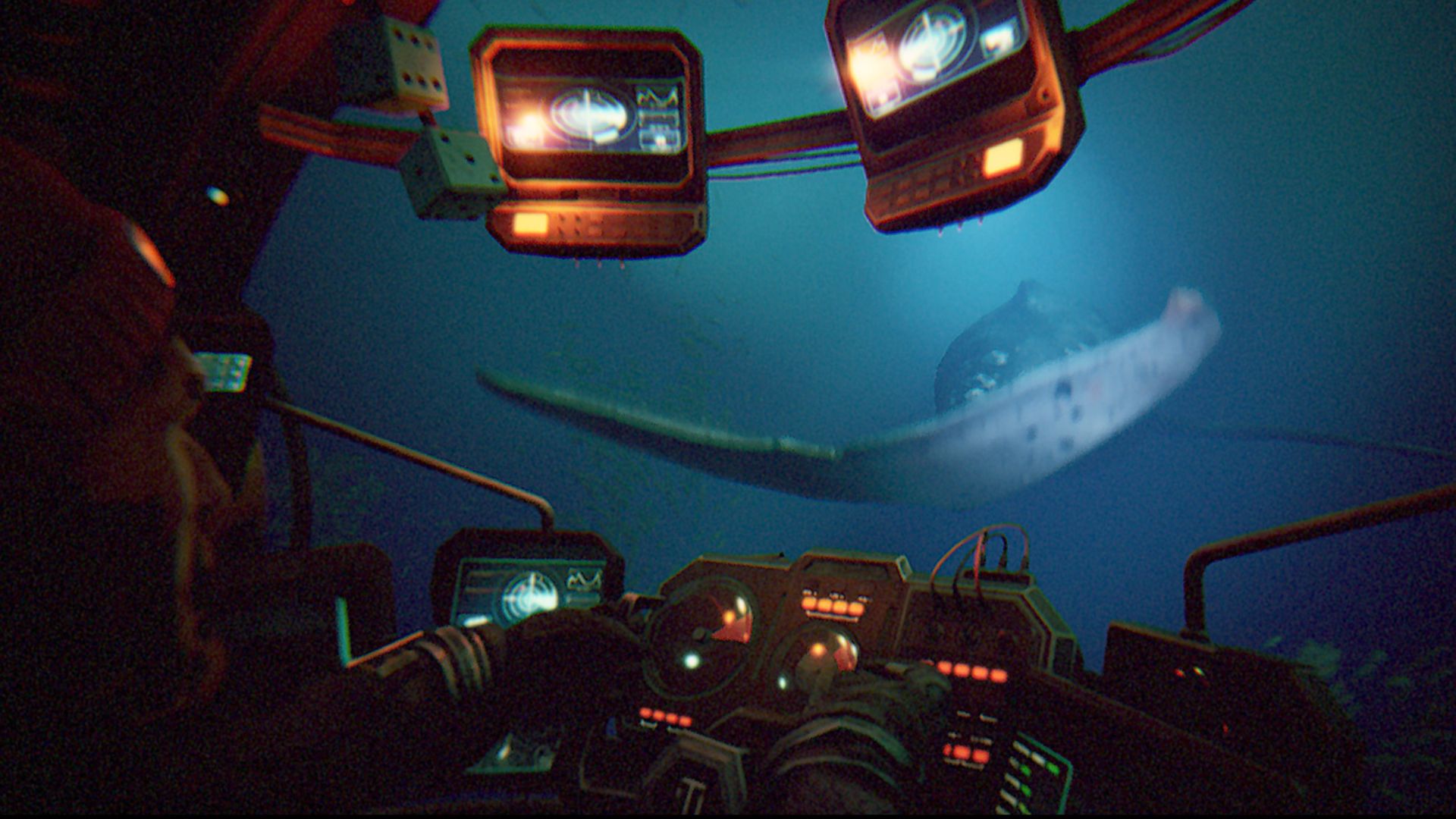 Shot from inside a sub, watching a whale under the sea