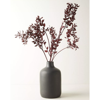 dried ruscus stems in a vase