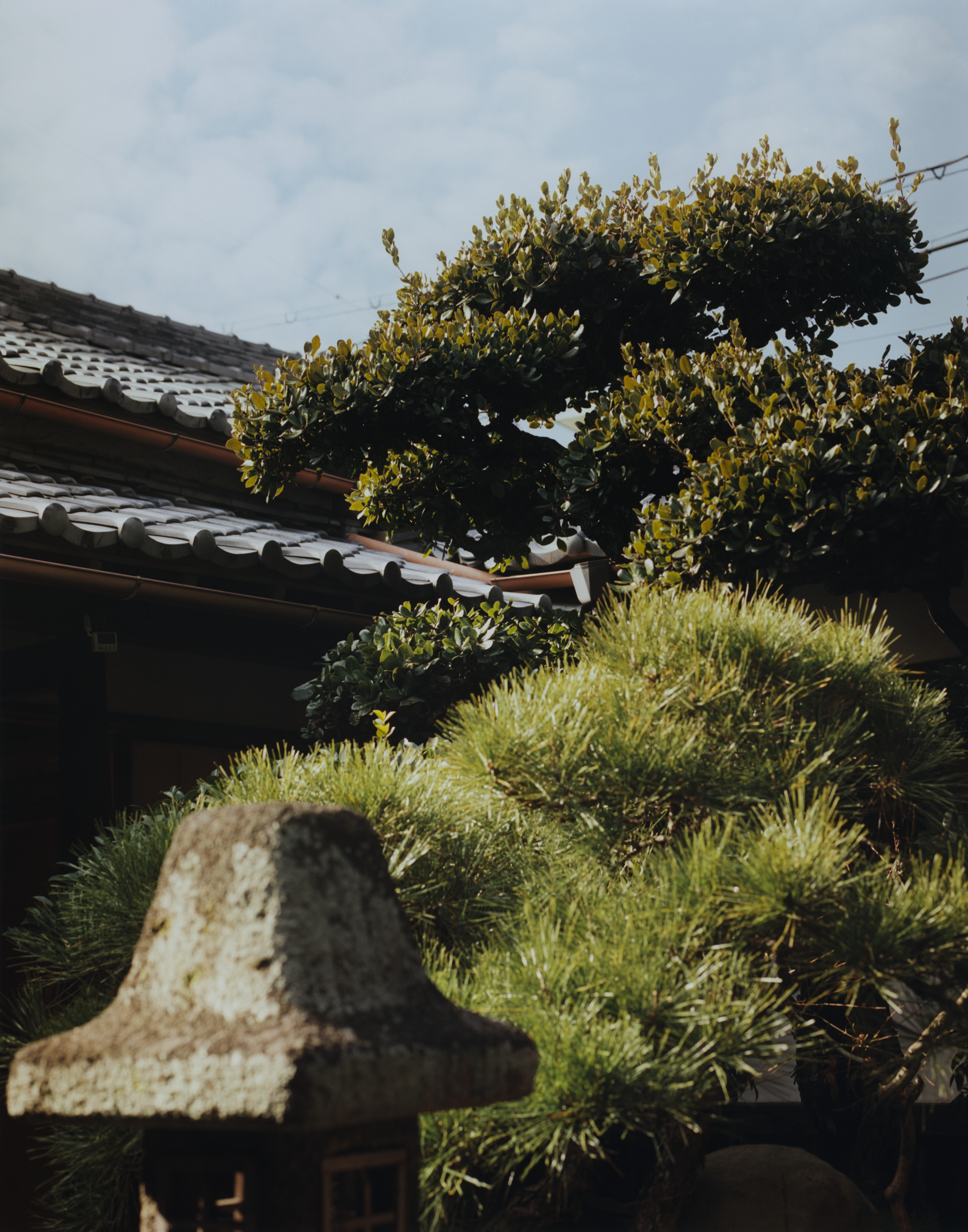 Den Niwa Japan