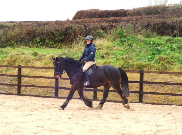 Schooling Chunky before the frost arrived