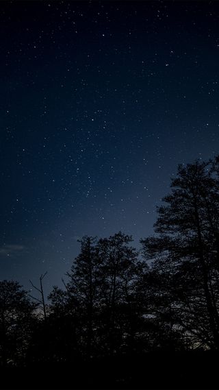 Nikon Z 70-200 f2/8 sample image