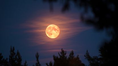 Full moon - stock photo