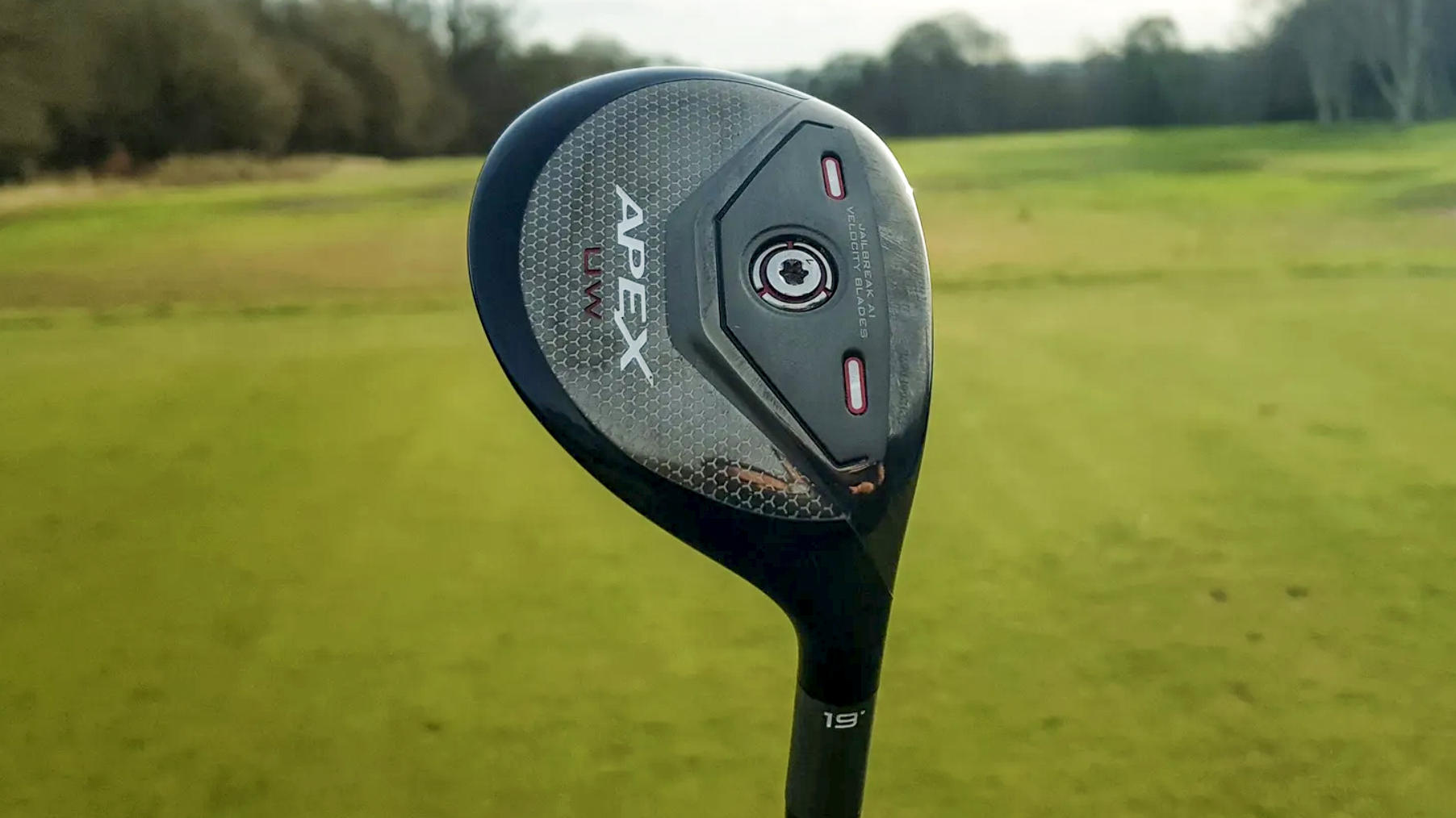 pHOTO OF THE APEX UW