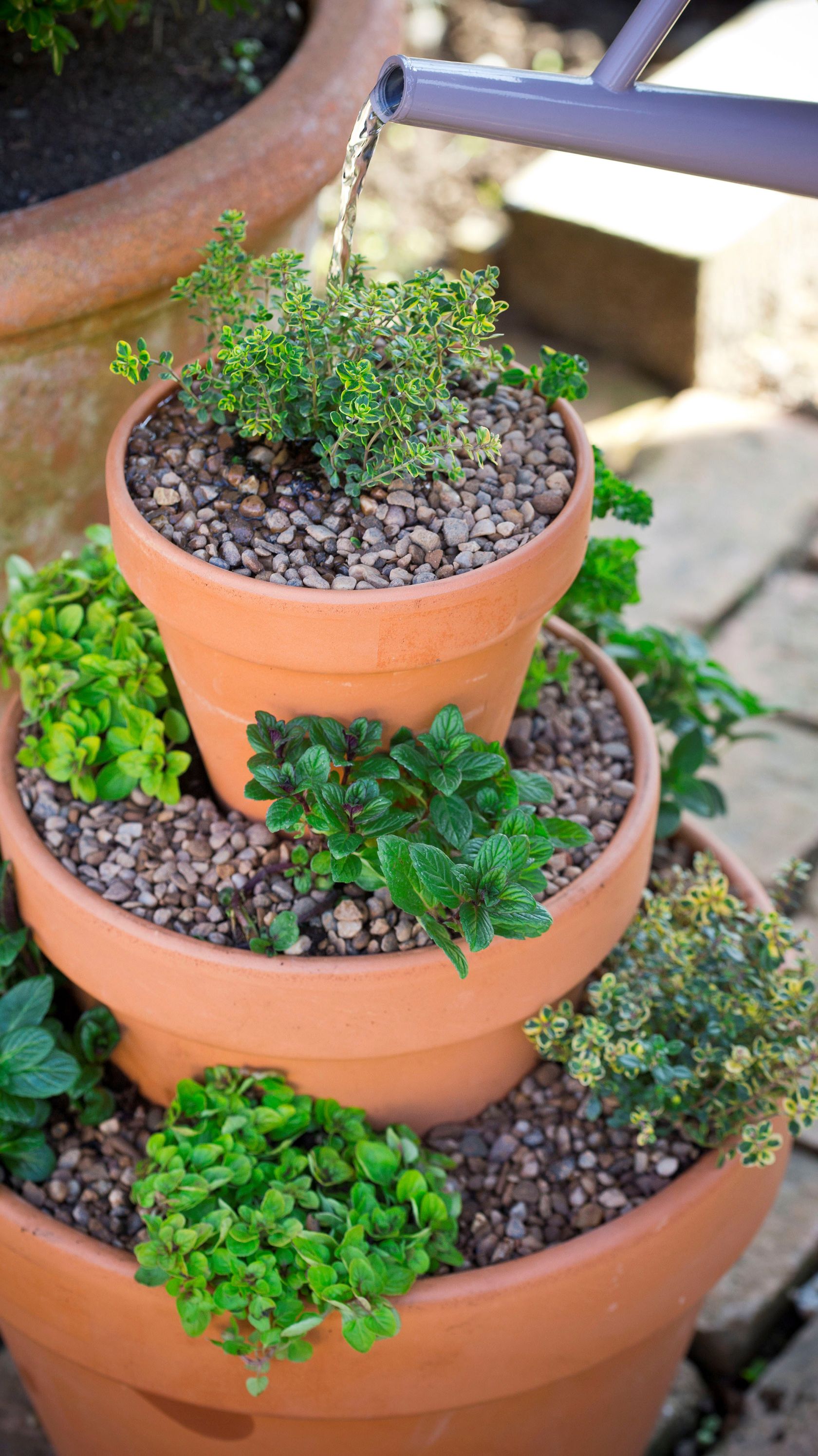 Make your own stylish herb planter in five easy steps GardeningEtc